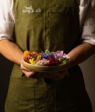 Contenido audiovisual 4